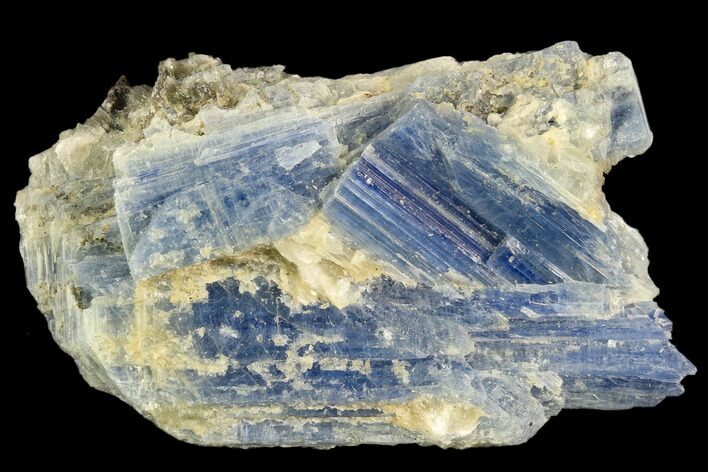 Vibrant Blue Kyanite Crystals In Quartz - Brazil #118850